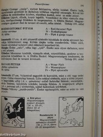 Európa madarai