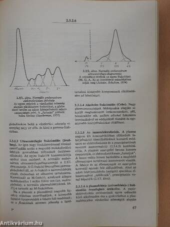 Orvosi élettan 1.