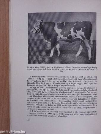 A szarvasmarhatörzskönyvezés évkönyve 1958/59