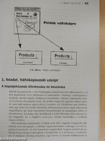 Javascript webfejlesztőknek