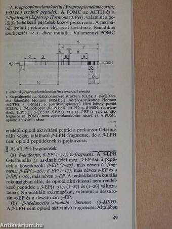 Életfolyamatokat szabályozó endogén peptidek