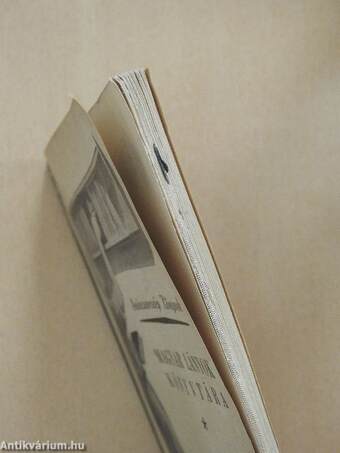 Szárnypróbálgatás