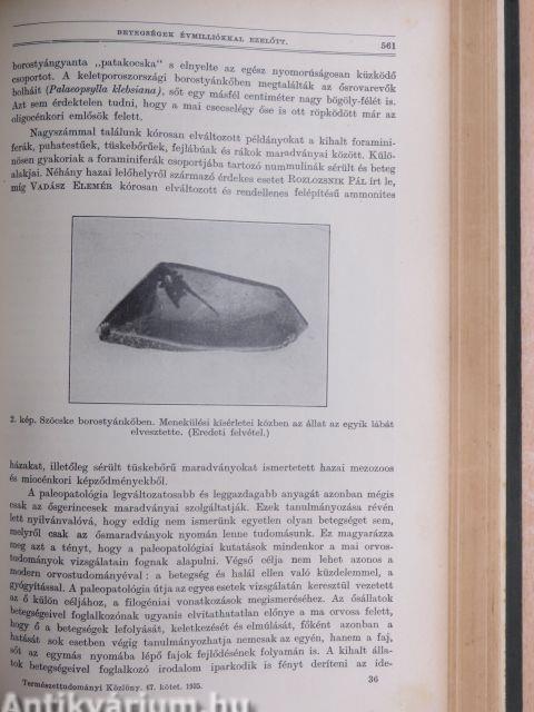 Természettudományi Közlöny 1935. január-december/Pótfüzetek a Természettudományi Közlönyhöz 1935. január-december