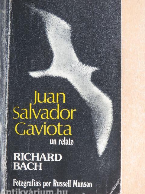 Juan Salvador Gaviota