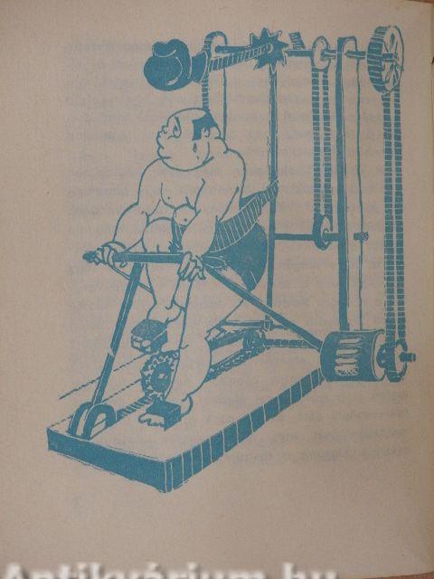 Se nem kövér, se nem sovány