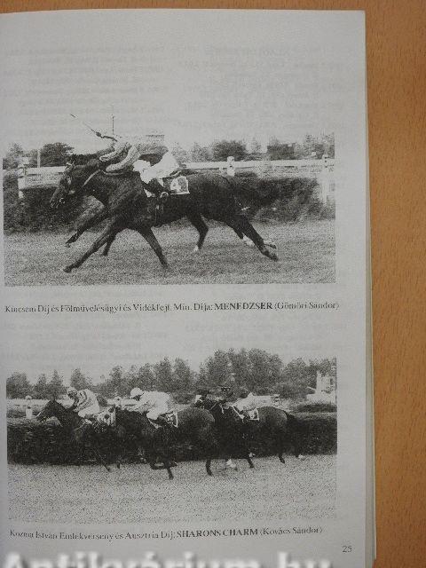 Lóverseny Krónika 1999