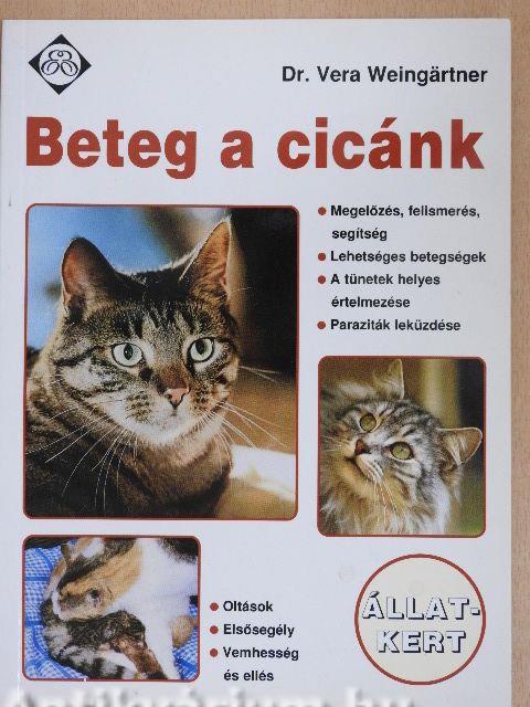 Beteg a cicánk