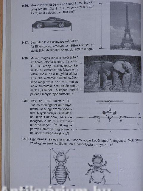 Matematika 6. - Gyakorló