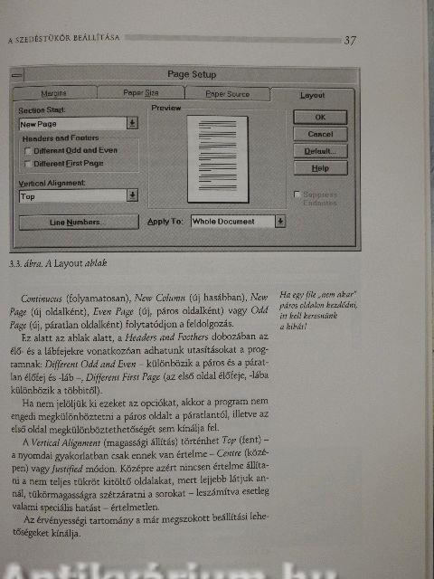 Nyomdászszemmel a WinWordről