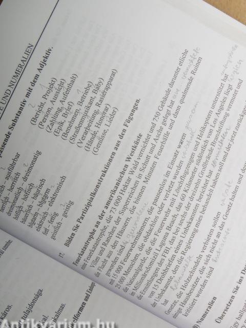 Grammatik-Morphologie