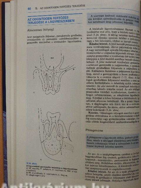 A szájüreg klinikai pathologiája