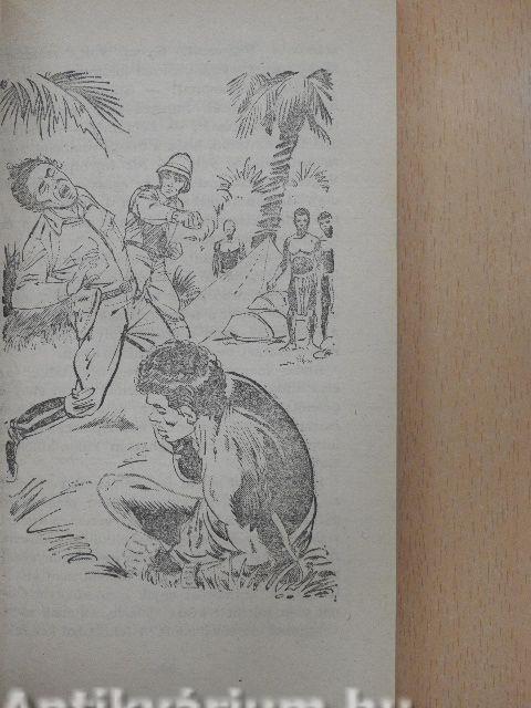Tarzan a dzsungel ura