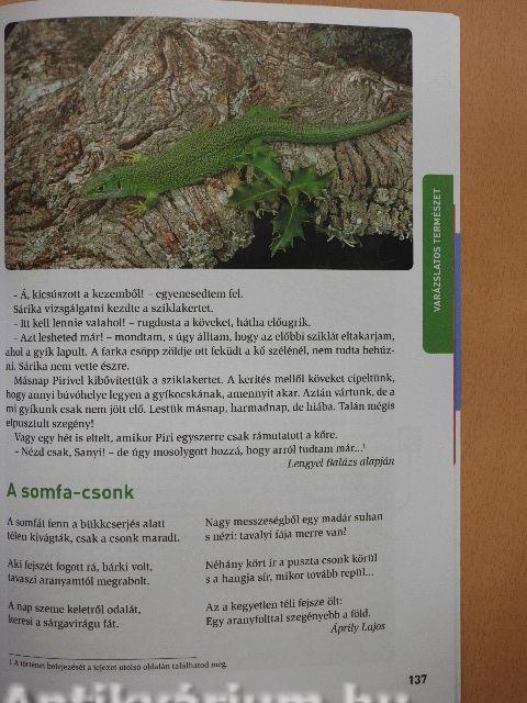 Hétszínvirág - Olvasókönyv 3.