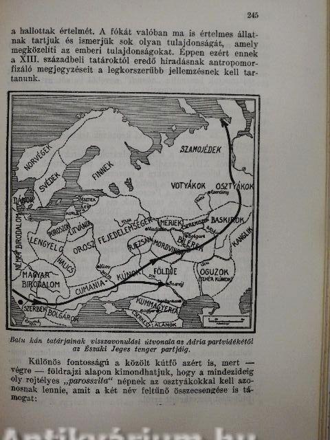 A magyarság és Középkelet