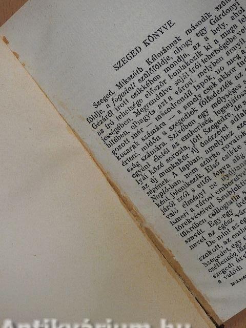 Szeged könyve I-II.