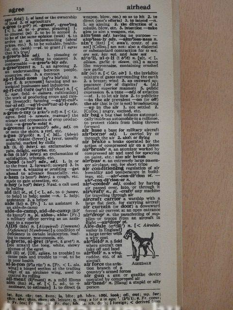 Webster's New World Dictionary of the American Language