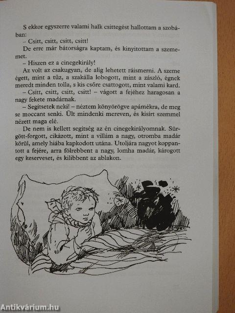 Kincskereső kisködmön