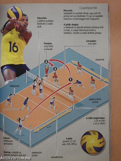 Sportágválasztó kicsiknek és nagyoknak