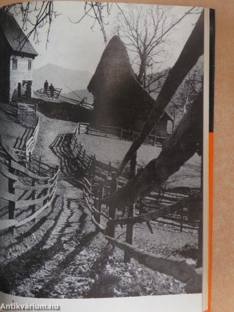 Korunk évkönyv 1979