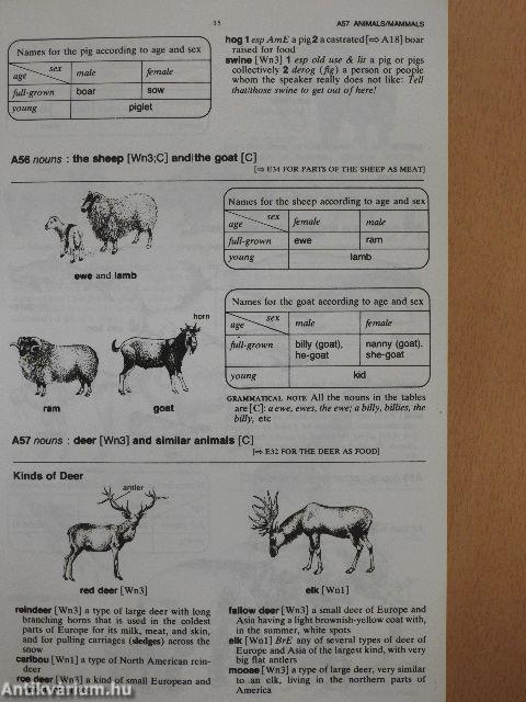 Longman Lexicon of Contemporary English