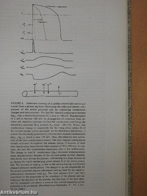 Cardiac Toxicology I