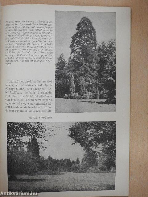 A szarvasi arborétum leírása és katalógusa