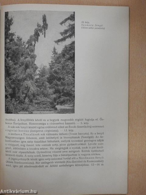 A szarvasi arborétum leírása és katalógusa