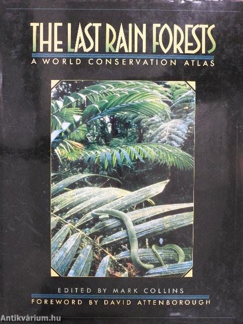 The Last Rain Forests