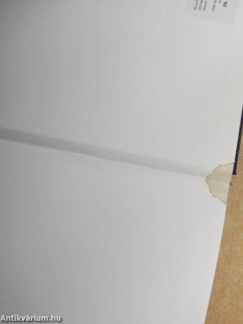 Angol-magyar kéziszótár 