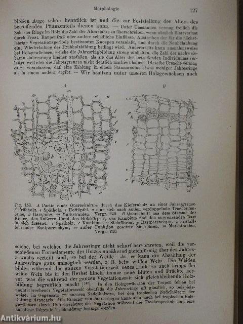 Lehrbuch der Botanik für Hochschulen