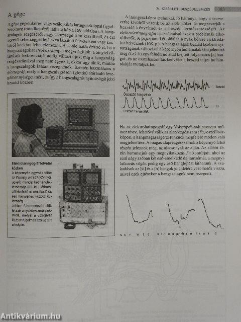 A nyelv enciklopédiája