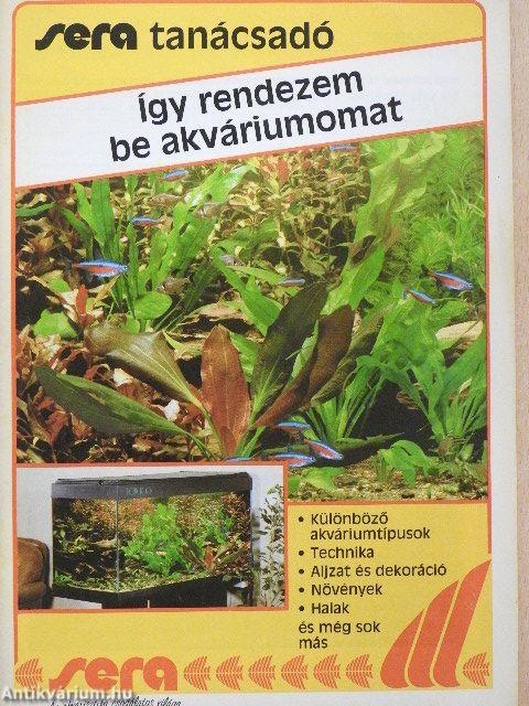 Így rendezem be akváriumomat