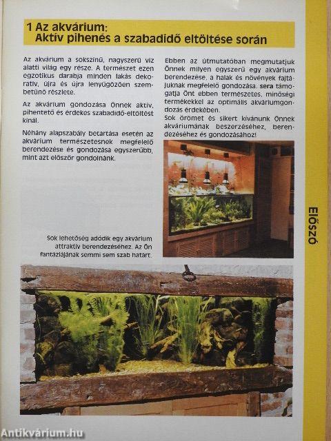Így rendezem be akváriumomat