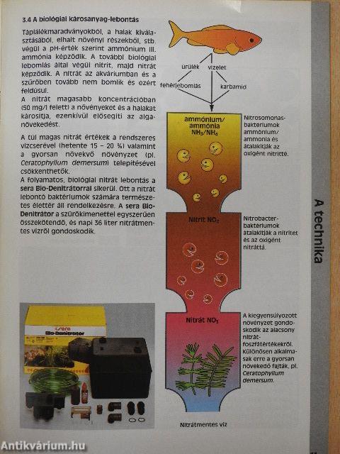 Így rendezem be akváriumomat