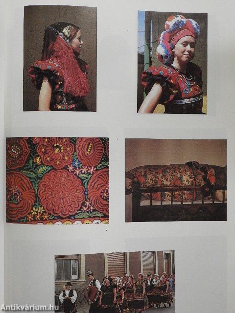 Kinyílott a matyó tulipánt