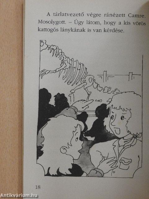 Cam Jansen és a dinoszaurusz-csontok rejtélye