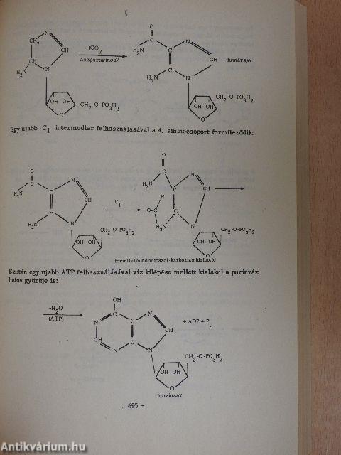 Biokémia II.