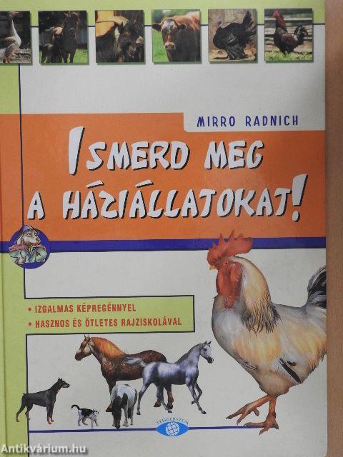 Ismerd meg a háziállatokat!