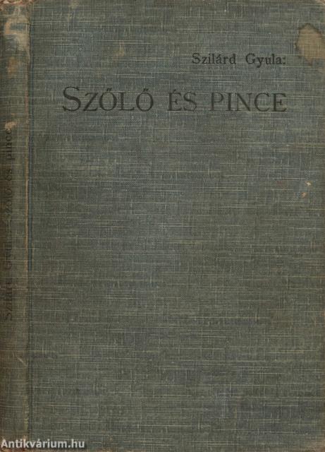 Szőlő és pince