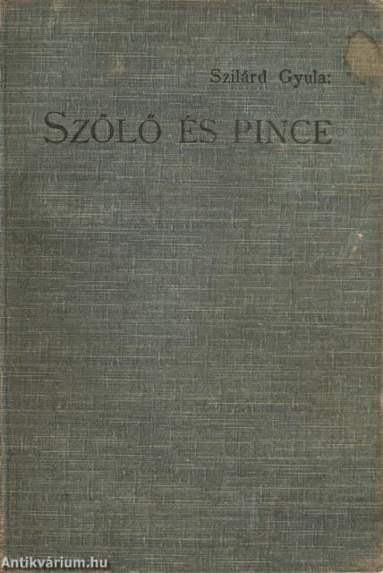 Szőlő és pince