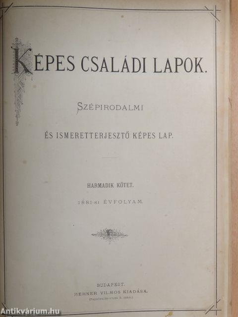 Képes Családi Lapok 1880. október-1881. szeptember