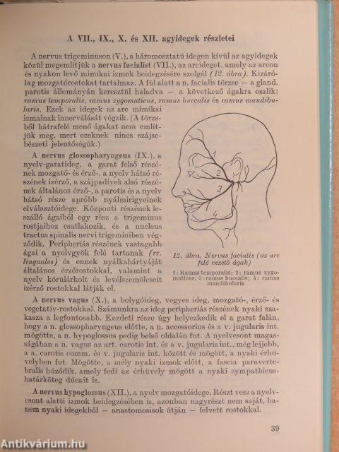 Fogászati és szájsebészeti érzéstelenítés