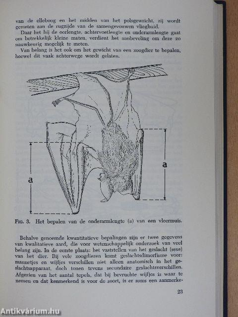 De Zoogdieren van de Nederlandse Antillen