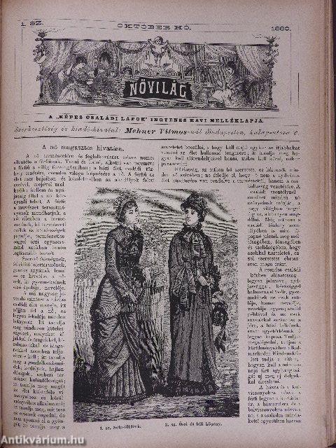 Képes Családi Lapok 1880. október-1881. szeptember