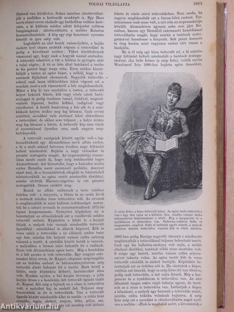 Tolnai Világlapja 1909. július-december (fél évfolyam)