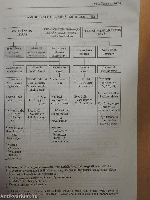 Számviteli esettanulmányok 2002.