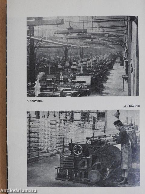 A magyar pamutipar története