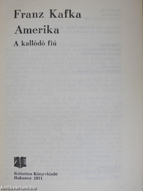 Amerika
