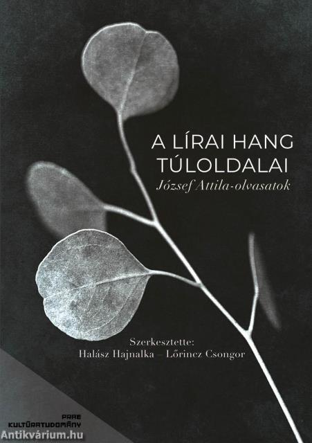 A lírai hang túloldalai József Attila-olvasatok