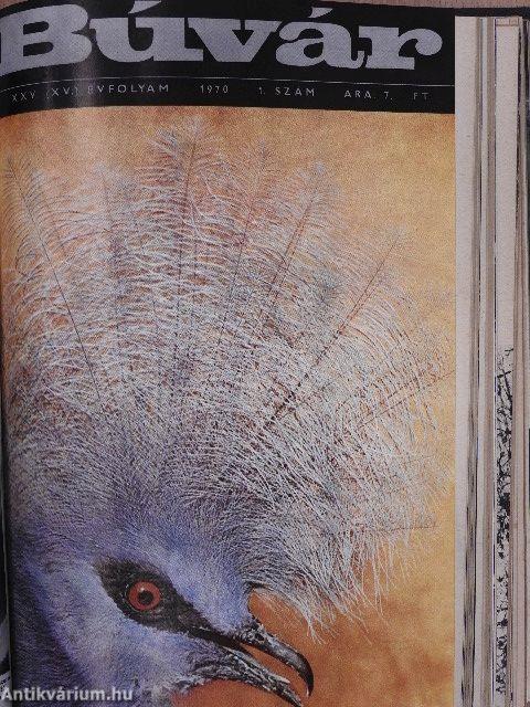 Búvár 1969-1970. január-december